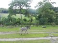 56 - Vom Restaurant hat man ueberall einen guten Blick auf die Savanne